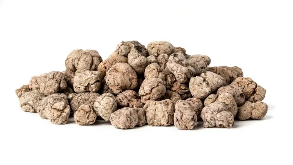 Budowa Domów Toruń - MyQu.be